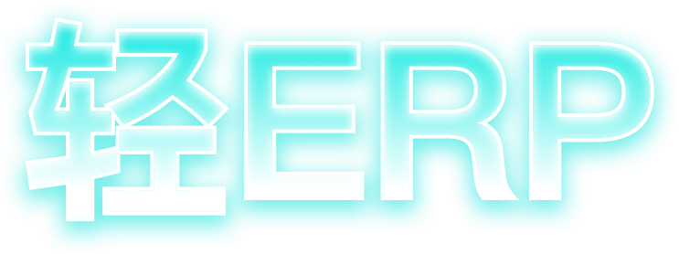 erp